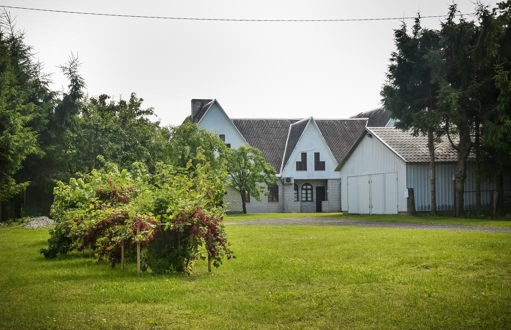 Joeekalda Accommodation Pulli エクステリア 写真